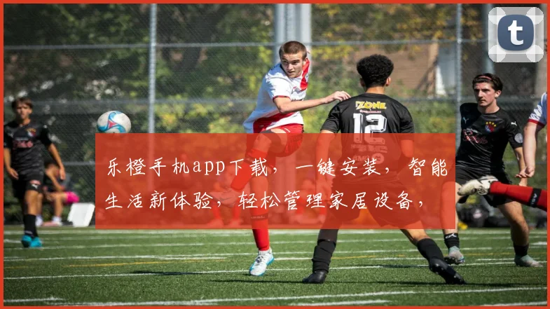 乐橙手机app下载，一键安装，智能生活新体验，轻松管理家居设备，享受便捷生活，不容错过