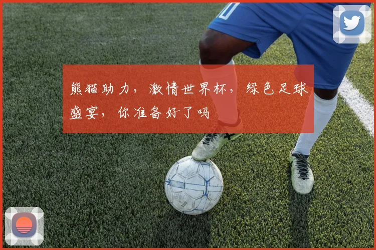 熊猫助力，激情世界杯，绿色足球盛宴，你准备好了吗