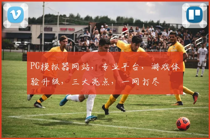 PG模拟器网站，专业平台，游戏体验升级，三大亮点，一网打尽